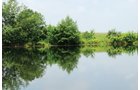 Property photo 21 - 1,025 Acres in 24 Tracts - Exellent Recreation Opportunity - Potential Building Sites - 11 Lakes & Ponds